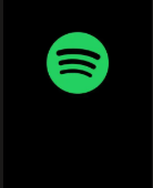 SPOTIFY 10MESES